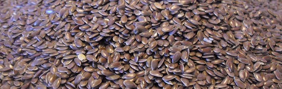 Flax